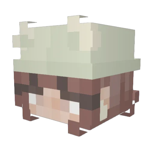 newarre Minecraft avatar head, 3D render