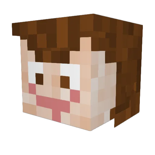 newbeta2408 Minecraft avatar head, 3D render