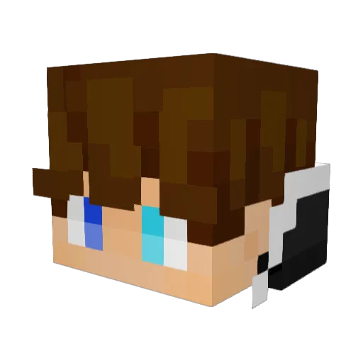 newbie2630 Minecraft avatar head, 3D render