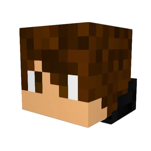 newbie_newbz_2 Minecraft avatar head, 3D render