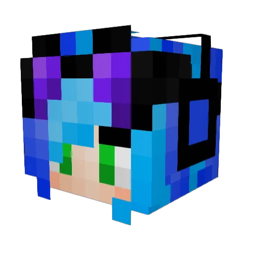 newbiewarrior117 Minecraft avatar head, 3D render