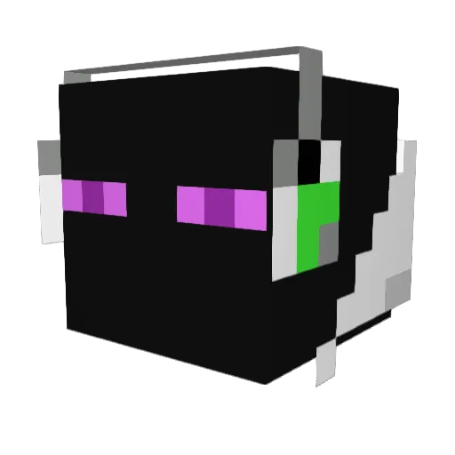 newbz_rule Minecraft avatar head, 3D render