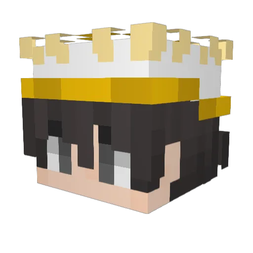 newchunks69 Minecraft avatar head, 3D render