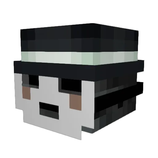 newclipse Minecraft avatar head, 3D render