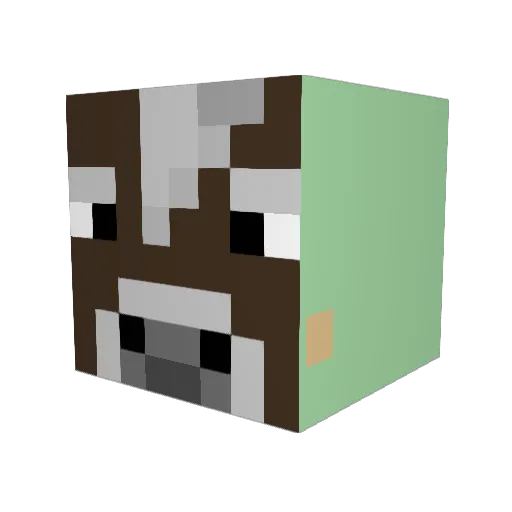 newcrew144 Minecraft avatar head, 3D render