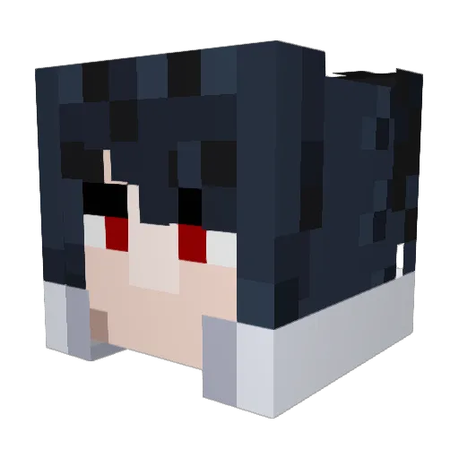 newgamer555 Minecraft avatar head, 3D render
