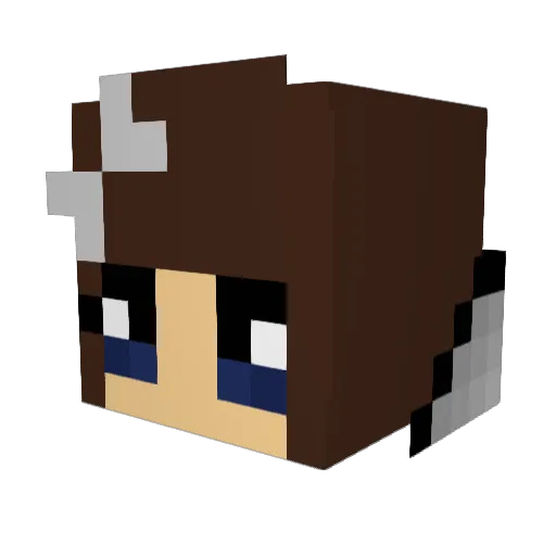 newgeneration12 Minecraft avatar head, 3D render
