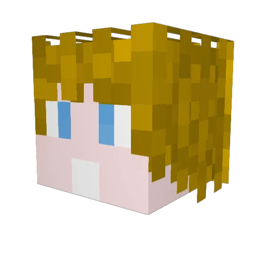 newgex Minecraft avatar head, 3D render