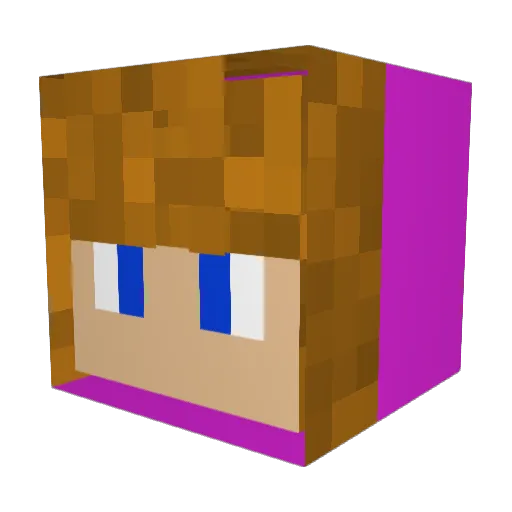newguy_321 Minecraft avatar head, 3D render