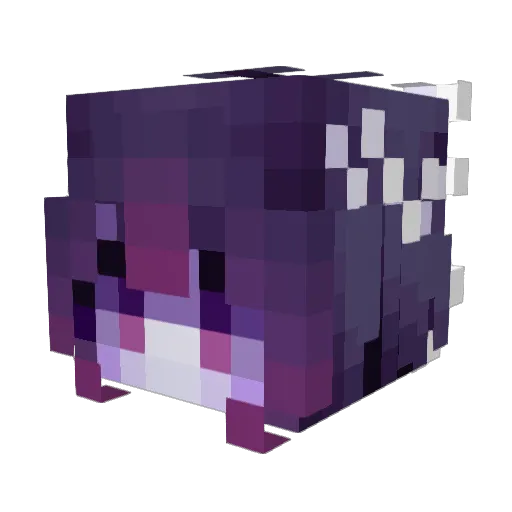 newkid1234 Minecraft avatar head, 3D render