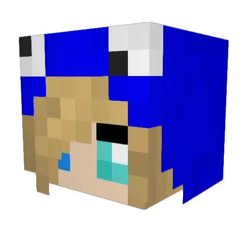 newkid1888 Minecraft avatar head, 3D render