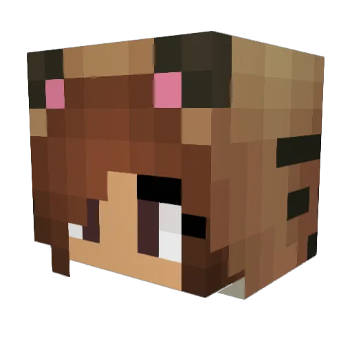 newlove22 Minecraft avatar head, 3D render