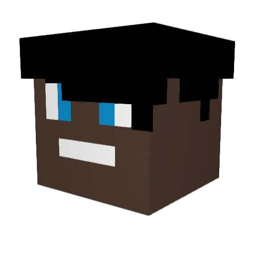 newname21 Minecraft avatar head, 3D render