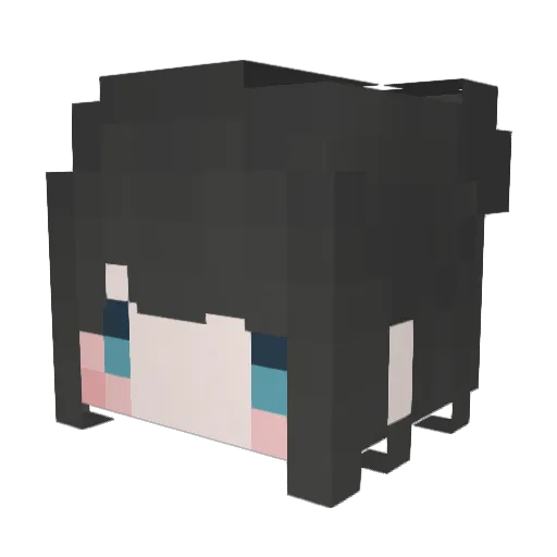 newniqht Minecraft avatar head, 3D render