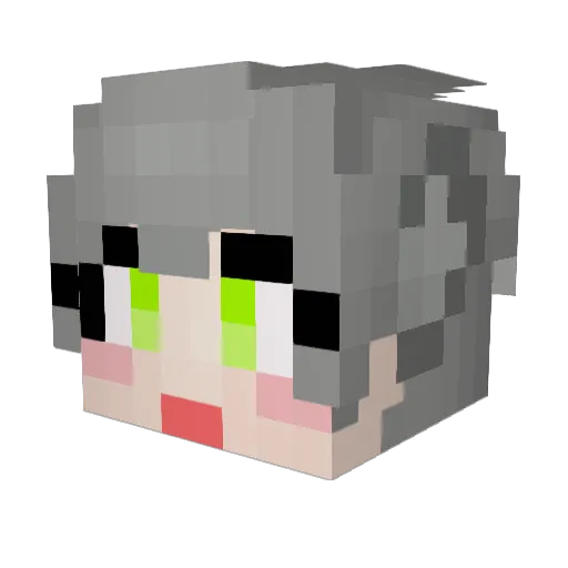 newong Minecraft avatar head, 3D render