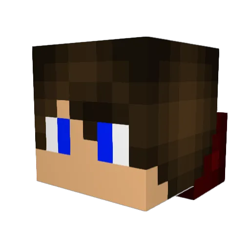 newplayer250 Minecraft avatar head, 3D render