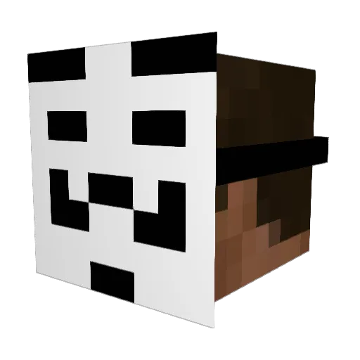 newrider3 Minecraft avatar head, 3D render