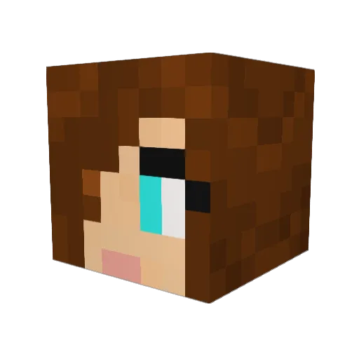 news0n Minecraft avatar head, 3D render