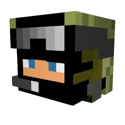 newsmann111 Minecraft avatar head, 3D render