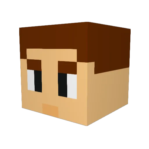 newtieb Minecraft avatar head, 3D render