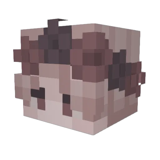 newtykins Minecraft avatar head, 3D render