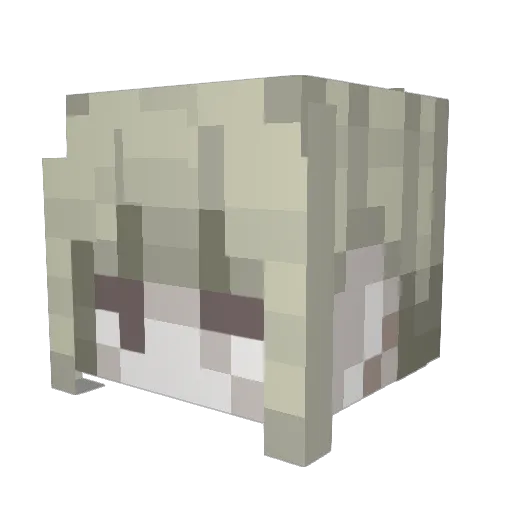 newwton Minecraft avatar head, 3D render