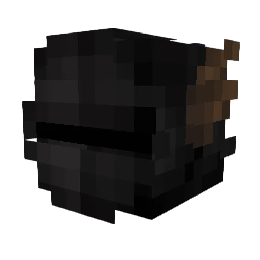 newxn Minecraft avatar head, 3D render