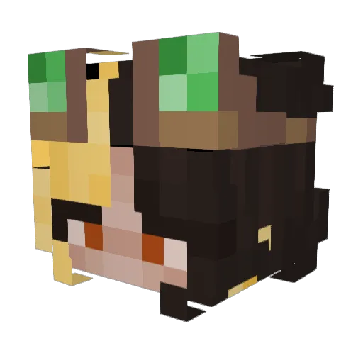 nexske Minecraft avatar head, 3D render