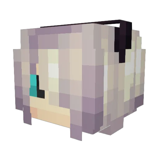 nextlevelpugZ Minecraft avatar head, 3D render