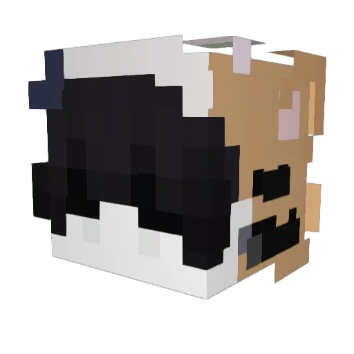 nexworrie Minecraft avatar head, 3D render