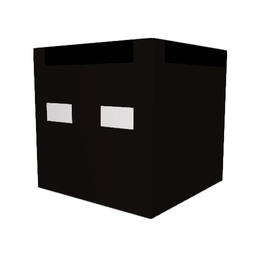 neyoriquans Minecraft avatar head, 3D render
