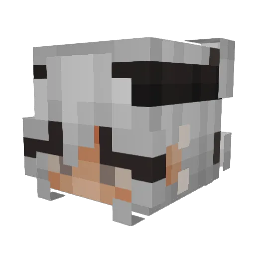 nezap_ Minecraft avatar head, 3D render