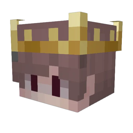 nfn Minecraft avatar head, 3D render