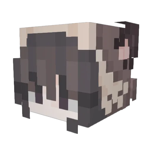ngecezt Minecraft avatar head, 3D render