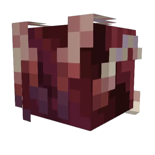 nhelv_ Minecraft avatar head, 3D render