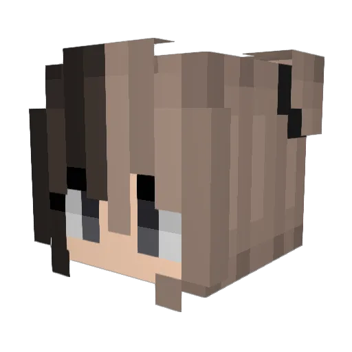 nhqz_ Minecraft avatar head, 3D render
