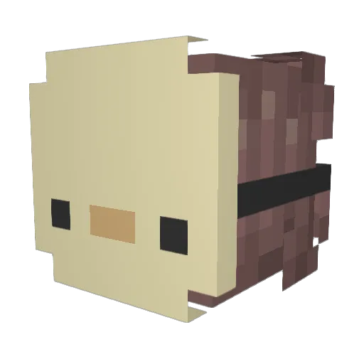 nhtp Minecraft avatar head, 3D render