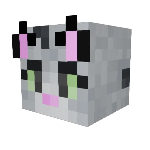 niFallon Minecraft avatar head, 3D render