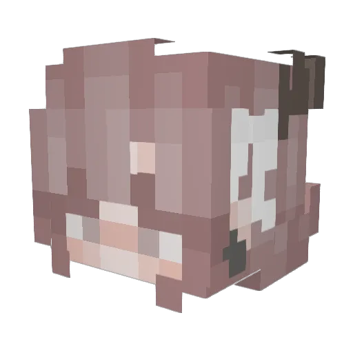 ni__ku Minecraft avatar head, 3D render