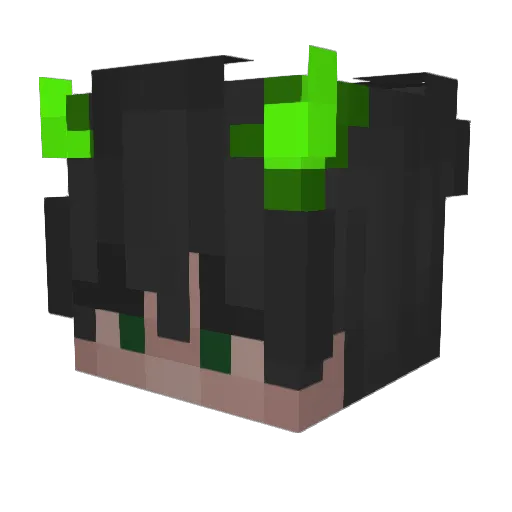 niadoubts Minecraft avatar head, 3D render