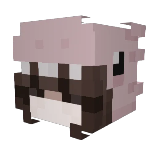 niamaris Minecraft avatar head, 3D render
