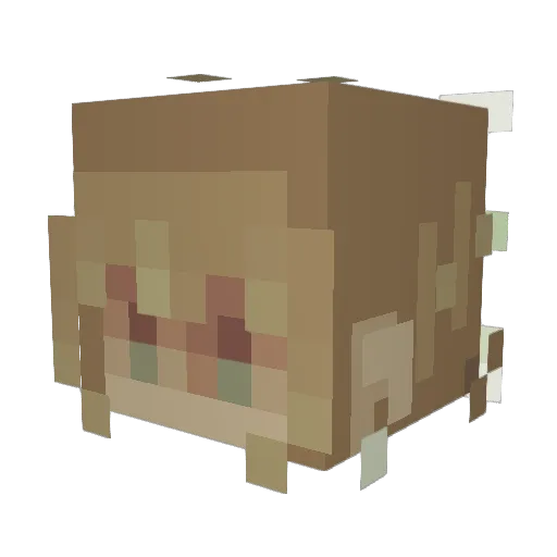 niamhsk57 Minecraft avatar head, 3D render