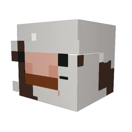 niamhthesneed Minecraft avatar head, 3D render
