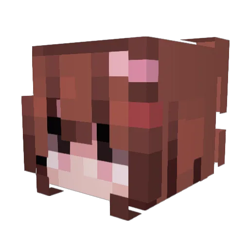nianova_ Minecraft avatar head, 3D render