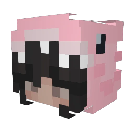 niatulip Minecraft avatar head, 3D render