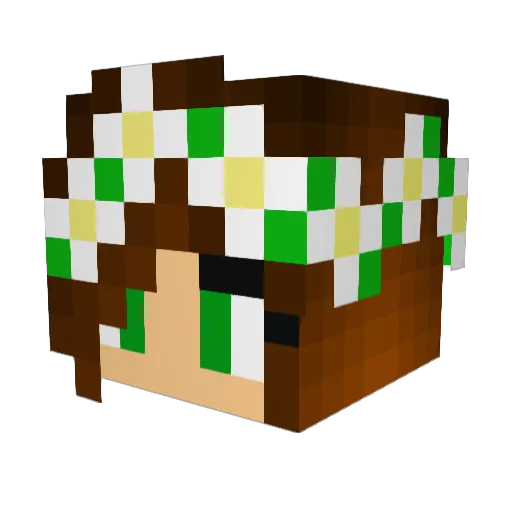 nibbles8 Minecraft avatar head, 3D render