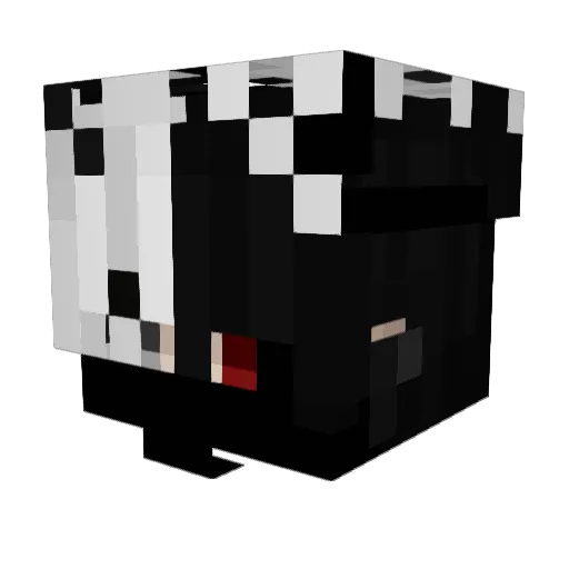 nibbsa420 Minecraft avatar head, 3D render