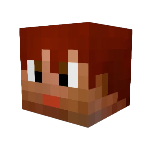 nibor93 Minecraft avatar head, 3D render