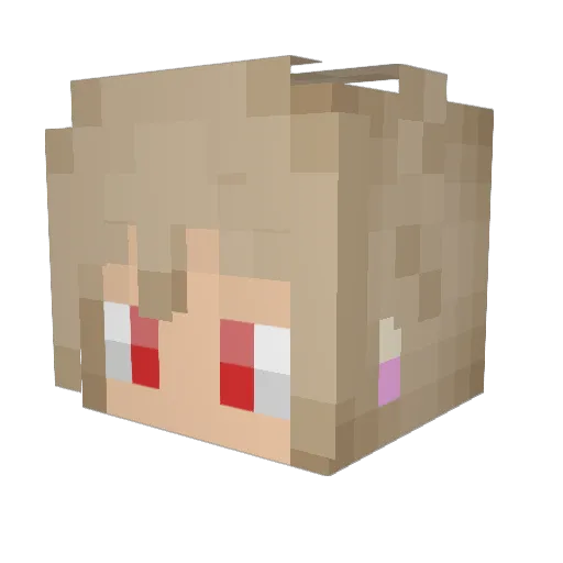 nibro_ Minecraft avatar head, 3D render