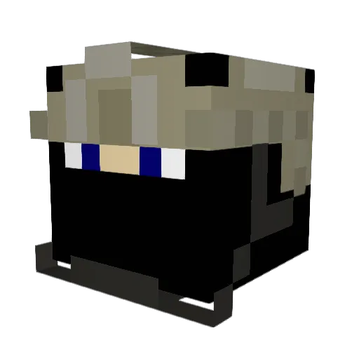 nic201 Minecraft avatar head, 3D render